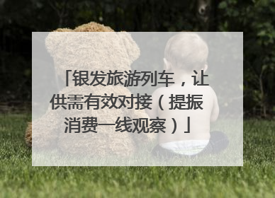 银发旅游列车，让供需有效对接（提振消费一线观察）