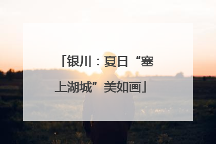 银川：夏日“塞上湖城”美如画