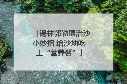 锡林郭勒盟治沙小妙招 给沙地吃上“营养餐”