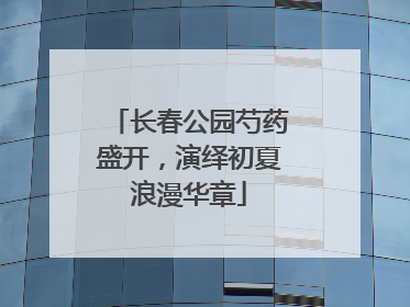 长春公园芍药盛开，演绎初夏浪漫华章