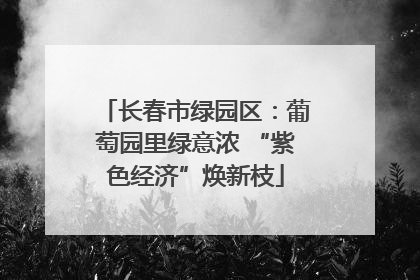 长春市绿园区：葡萄园里绿意浓 “紫色经济”焕新枝