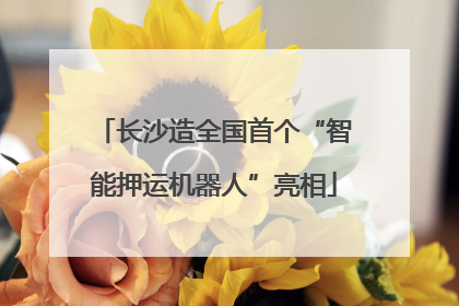长沙造全国首个“智能押运机器人”亮相