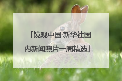 镜观中国·新华社国内新闻照片一周精选
