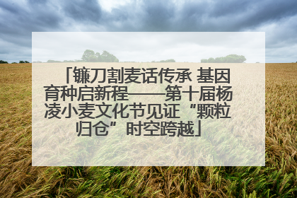 镰刀割麦话传承 基因育种启新程——第十届杨凌小麦文化节见证“颗粒归仓”时空跨越