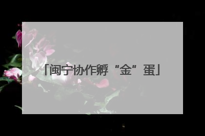 闽宁协作孵“金”蛋