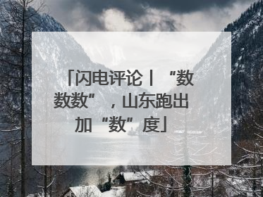 闪电评论丨“数数数”，山东跑出加“数”度
