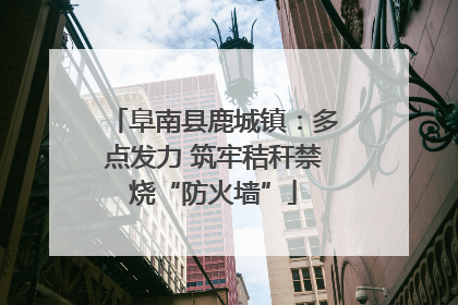 阜南县鹿城镇：多点发力 筑牢秸秆禁烧“防火墙”