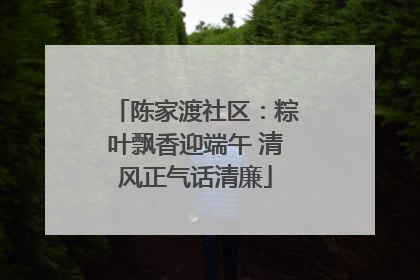 陈家渡社区：粽叶飘香迎端午 清风正气话清廉