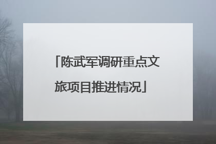 陈武军调研重点文旅项目推进情况
