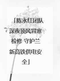 陈永红团队深夜顶风冒寒检修 守护兰新高铁供电安全