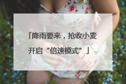 降雨要来，抢收小麦开启“倍速模式”