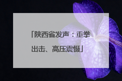 陕西省发声：重拳出击、高压震慑