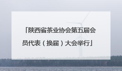 陕西省茶业协会第五届会员代表（换届）大会举行