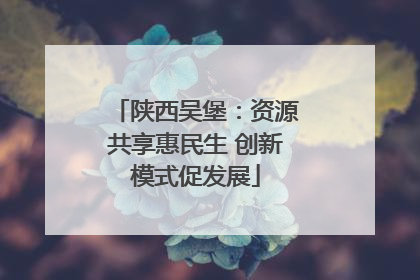 陕西吴堡：资源共享惠民生 创新模式促发展