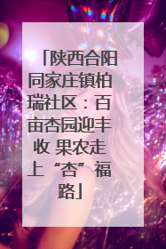 陕西合阳同家庄镇柏瑞社区：百亩杏园迎丰收 果农走上“杏”福路