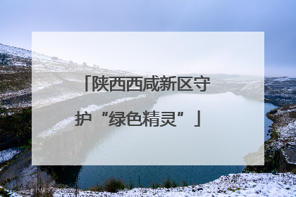 陕西西咸新区守护“绿色精灵”