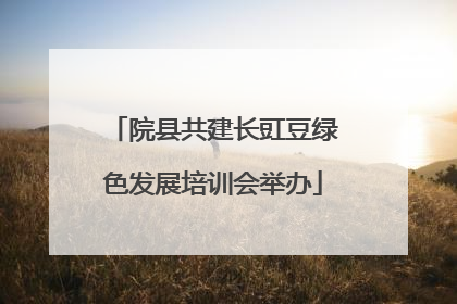 院县共建长豇豆绿色发展培训会举办