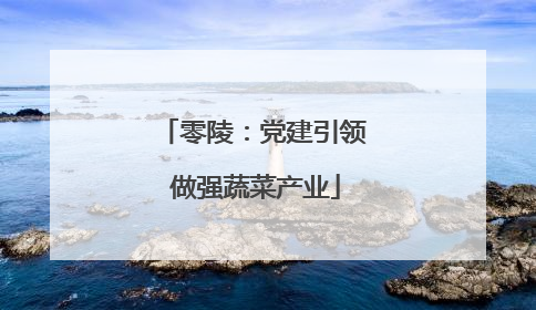 零陵：党建引领 做强蔬菜产业