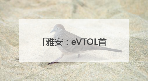 雅安：eVTOL首飞 低空文旅启航