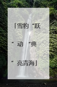 雪豹“跃”动 “典”亮青海