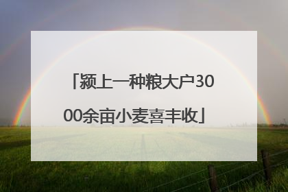 颍上一种粮大户3000余亩小麦喜丰收