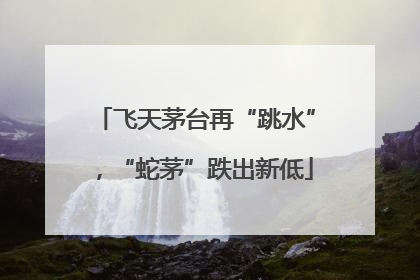 飞天茅台再“跳水”，“蛇茅”跌出新低