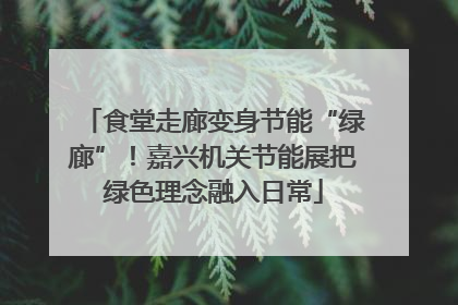 食堂走廊变身节能“绿廊”！嘉兴机关节能展把绿色理念融入日常