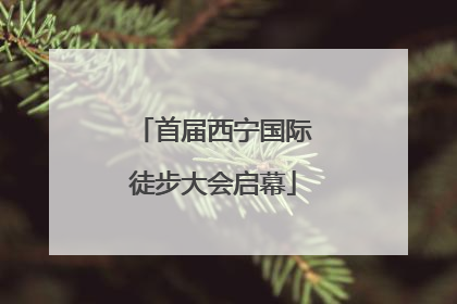 首届西宁国际徒步大会启幕