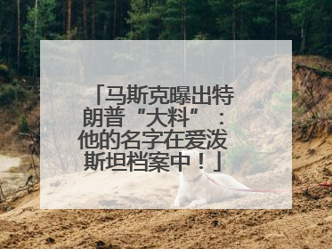 马斯克曝出特朗普“大料”：他的名字在爱泼斯坦档案中！