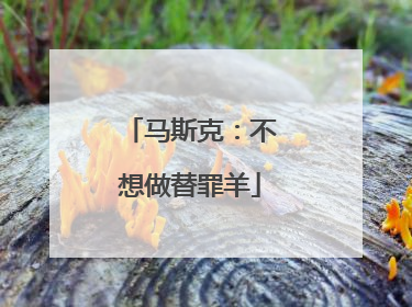 马斯克：不想做替罪羊