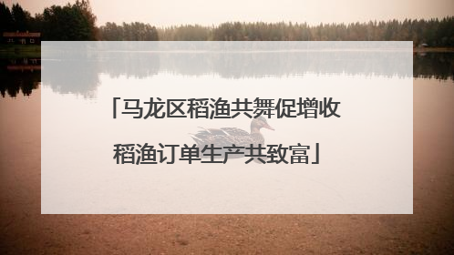 马龙区稻渔共舞促增收 稻渔订单生产共致富