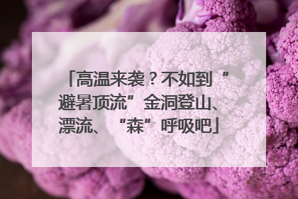 高温来袭？不如到“避暑顶流”金洞登山、漂流、“森”呼吸吧