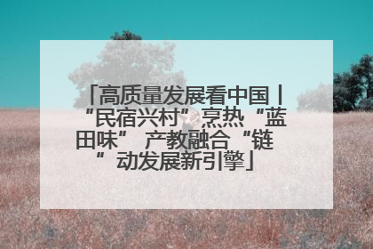 高质量发展看中国丨“民宿兴村”烹热“蓝田味” 产教融合“链”动发展新引擎
