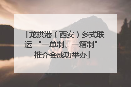 龙拱港（西安）多式联运 “一单制、一箱制” 推介会成功举办