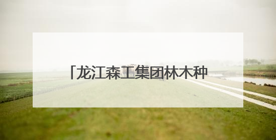 龙江森工集团林木种质资源库入选国家队