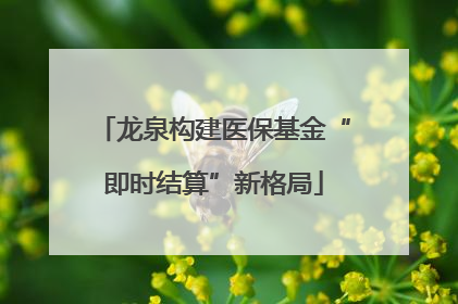 龙泉构建医保基金“即时结算”新格局
