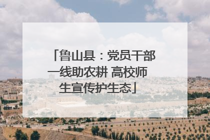 鲁山县：党员干部一线助农耕 高校师生宣传护生态