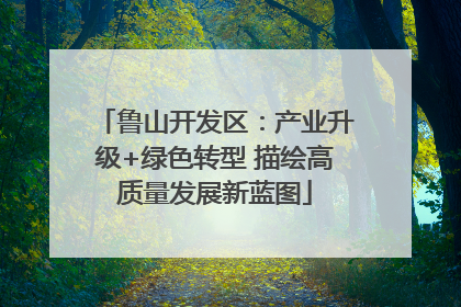 鲁山开发区：产业升级+绿色转型 描绘高质量发展新蓝图