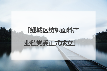 鲤城区纺织面料产业链党委正式成立