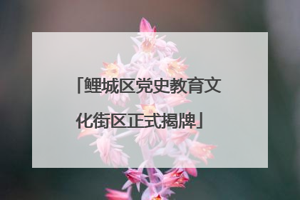 鲤城区党史教育文化街区正式揭牌