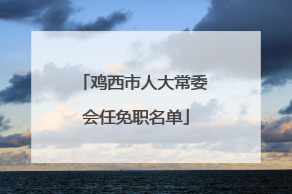 鸡西市人大常委会任免职名单