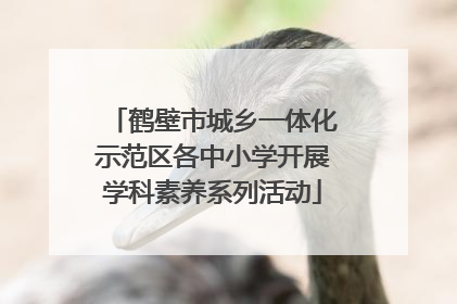 鹤壁市城乡一体化示范区各中小学开展学科素养系列活动