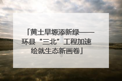黄土旱塬添新绿——环县“三北”工程加速绘就生态新画卷