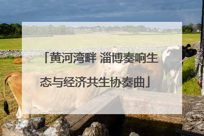 黄河湾畔 淄博奏响生态与经济共生协奏曲