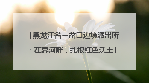 黑龙江省三岔口边境派出所：在界河畔，扎根红色沃土