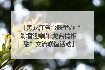 黑龙江省台联举办“粽香迎端午·龙台情相融”交流联谊活动