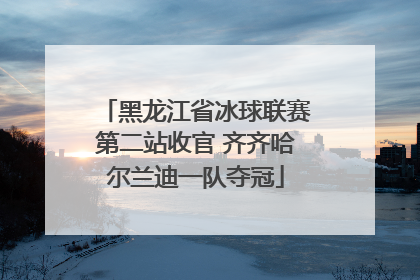 黑龙江省冰球联赛第二站收官 齐齐哈尔兰迪一队夺冠