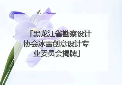 黑龙江省勘察设计协会冰雪创意设计专业委员会揭牌