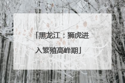 黑龙江：狮虎进入繁殖高峰期