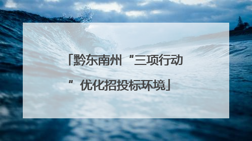 黔东南州“三项行动”优化招投标环境